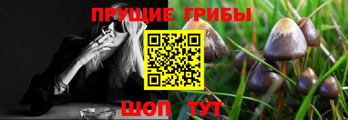 Новокузнецк  Галлюциногенные грибы прущие грибы  Вход с VPN 